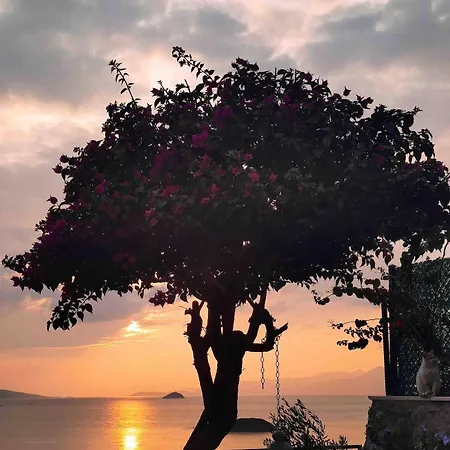 Villa Detached With View In Gumusluk Bodrum